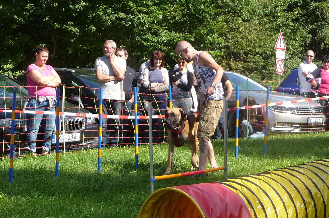 19.8.2017 Tierheimfest Kulmbach