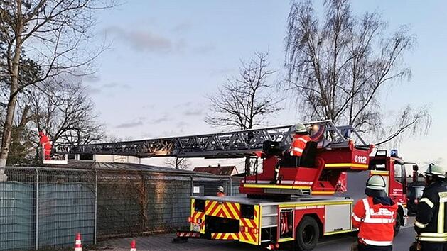 Während des Sturmtiefs "Sabine" fiel ein Baum auf das Katzenhaus des Tierheims Feucht. Foto: Tierheim Feucht