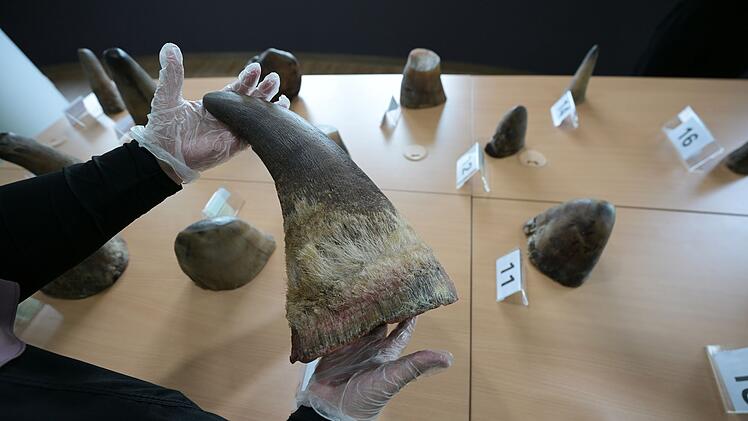 Singapur stoppt bisher größten Schmuggel mit Nashorn-Horn