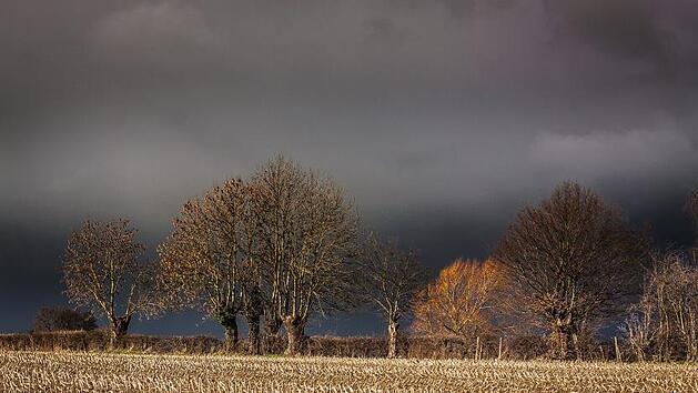 Auf Franken kommen stürmische Zeiten zu. Pixabay