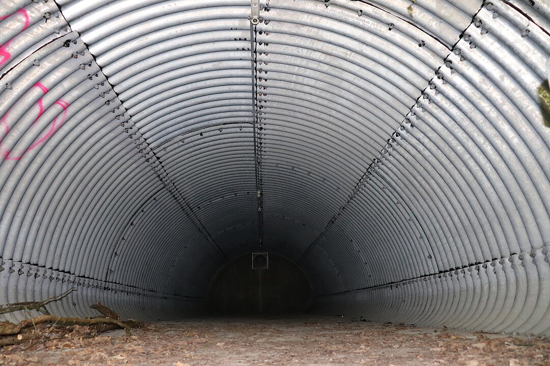 Lost Place US-Waffenbunker im Wald