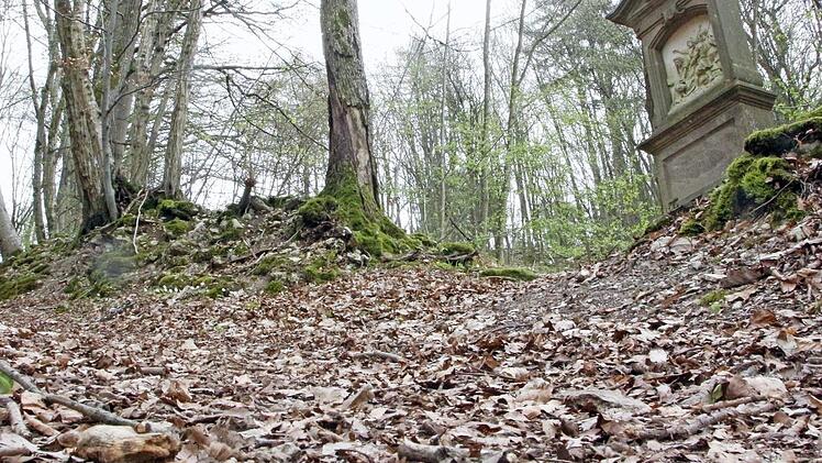 Der Stationsweg von Ebermannstadt zur Kreuzwegkapelle bei der Wallerwarte soll neben drei anderen Wegen saniert werden.  Foto: Josef Hofbauer