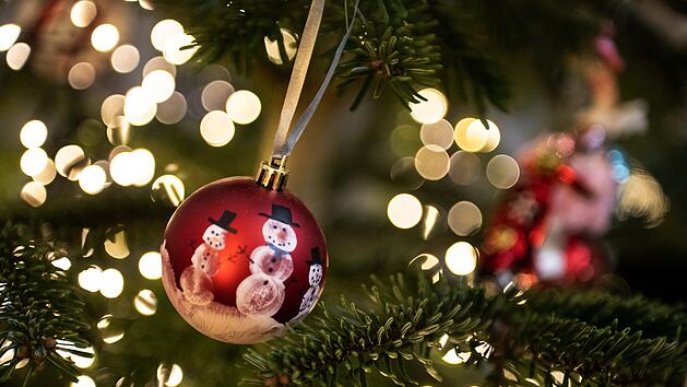 Zirndorf: Das sind die Ablageorte f&uuml;r Weihnachtsb&auml;ume 2022
