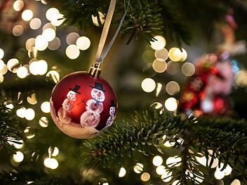 Zirndorf: Das sind die Ablageorte für Weihnachtsbäume 2022