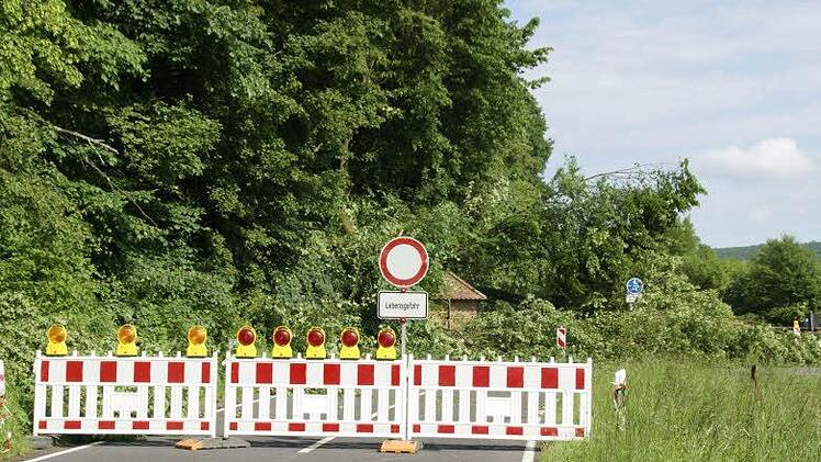 Erdmassen und teils dicke Bäume fielen auf den Maintalradweg und die Straße bei Dippach im letzten Jahr nach dem Hangrutsch.