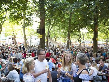 Volkach: 74. Fränkisches Weinfest findet demnächst statt - das erwartet dich