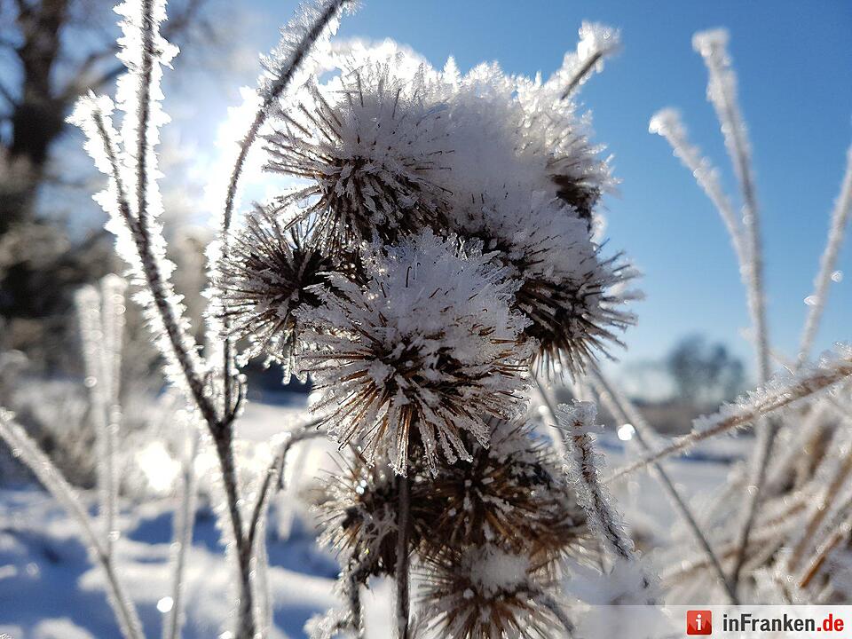 Eis und Schnee in Franken - die schönsten Winterleserfotos