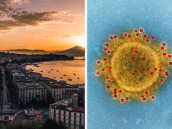 SplitImage 1774613276