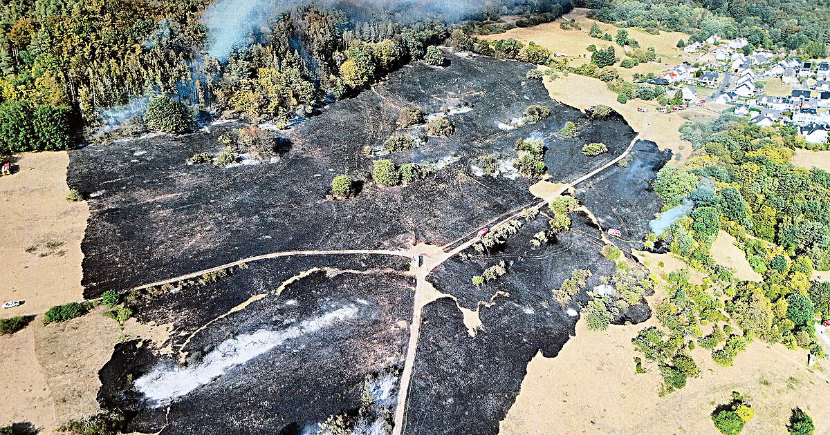 Forest fire near Waldaschaff: Firefighters in major operation - | Houses ...