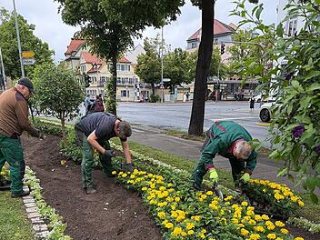 Bambergs Sommerblumen: Aktion sorgt f&uuml;r Farbenpracht in der Stadt