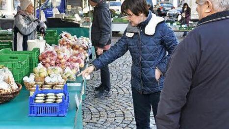 In Haßfurt wird es aufgrund des geringen Interesses der Direktvermarkter vorerst keinen zusätzlichen Markt am Samstag auf dem Marktplatz geben. Fotos: Ulrike Langer