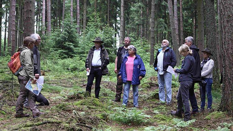 Gesunder Unterbau mit Naturverjüngung im ausgelichteten Fichtenbestand des Gänsrains. Die Förster Birgit Badde und Joachim Manke (links) erläuterten den Vertretern von Stadtrat und Verwaltung die Details. Foto: Thomas Dill