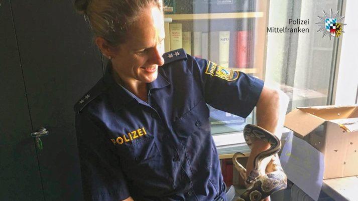 Kurioser Fund in Zirndorf (Kreis F&uuml;rth): Passanten fanden mitten auf der Stra&szlig;e eine Schlange. Foto: Polizei Mittelfranken / facebook