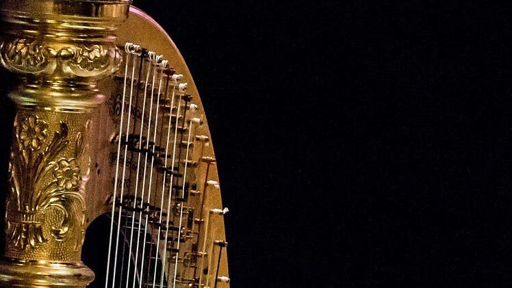 Impressionen vom Mitmachkonzert im Landestheater Coburg: Wenn junge Talente gemeinsam mit Profis auftreten.Foto: Jochen Berger