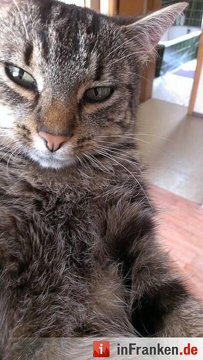 Foto: Melanie Schwab