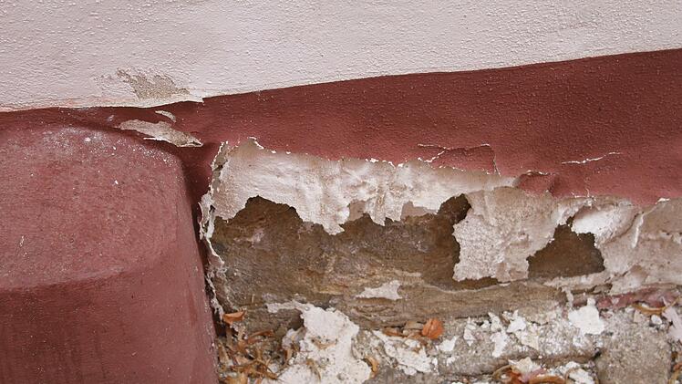 Durch den Urin entsteht ein unangenehmer Geruch. Bakterien absorbieren die Ausscheidungen und produzieren das schlecht riechende Ammoniak. Foto: Sonny Adam