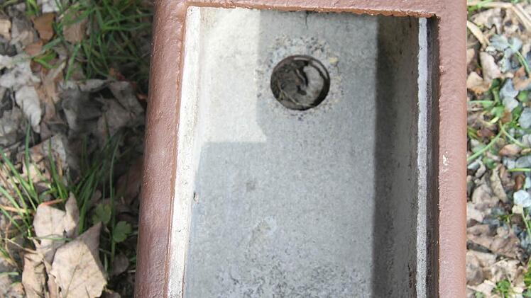 Der Innenraum eines Holzbeton-Nistkastens für Gartenschläfer