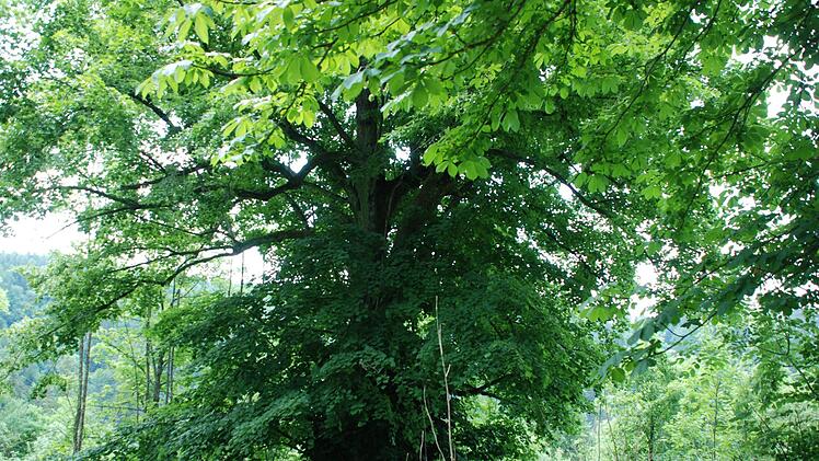 Impressionen der Tour. Foto: privat
