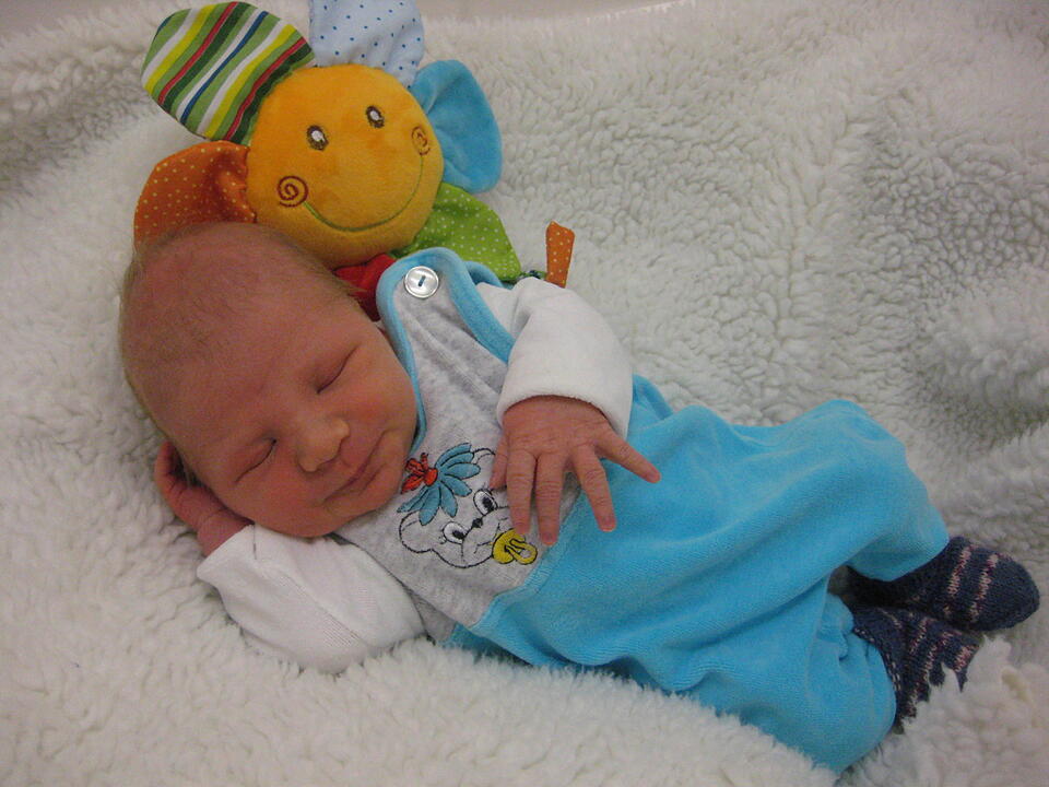 Babygalerie 334