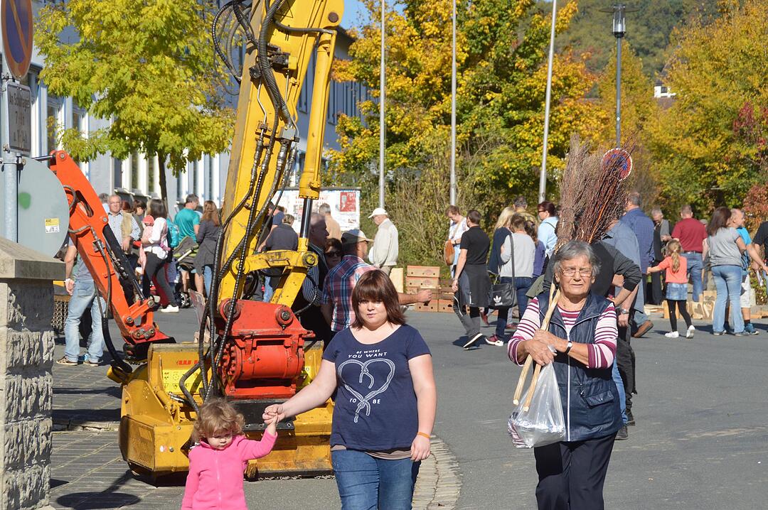 Holztag Scheinfeld 2017