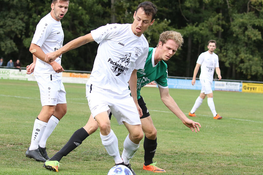 TSV/DJK Wiesentheid - SV-DJKberschwarzach