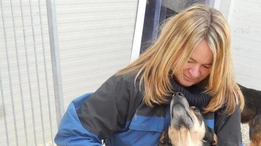 Sabine Th&uuml;mmig wird schon sehns&uuml;chtig erwartet von den vielen Hunden, um die sich ihr Verein "Tierheimleben in Not" in insgesamt f&uuml;nf Einrichtungen in Ungarn k&uuml;mmert. Einige der Vierbeiner konnten auch &uuml;ber den Kulmbacher Tierschutzverein erfolgreich vermittelt werden. Foto: privat