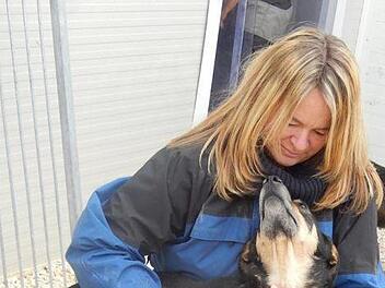 Sabine Thümmig wird schon sehnsüchtig erwartet von den vielen Hunden, um die sich ihr Verein "Tierheimleben in Not" in insgesamt fünf Einrichtungen in Ungarn kümmert. Einige der Vierbeiner konnten auch über den Kulmbacher Tierschutzverein erfolgreich vermittelt werden. Foto: privat
