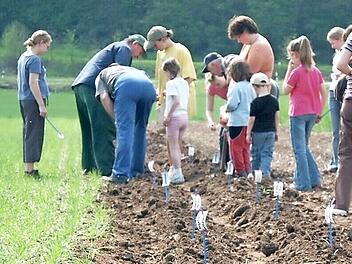 Jugendarbeit wird im OGV Roßstadt großgeschrieben. Unser Bild entstand bei einer großen Kartoffel-Aktion im Jahr 2005.