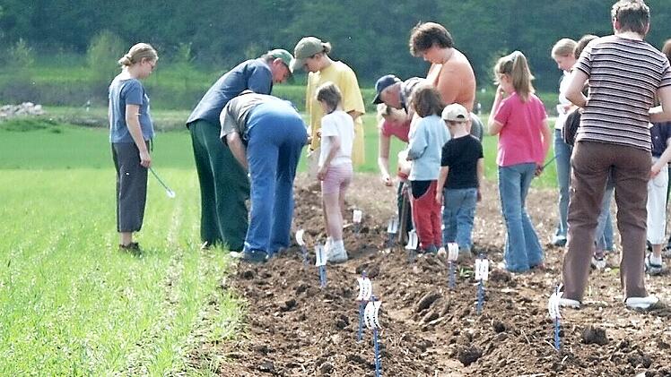 Jugendarbeit wird im OGV Roßstadt großgeschrieben. Unser Bild entstand bei einer großen Kartoffel-Aktion im Jahr 2005.