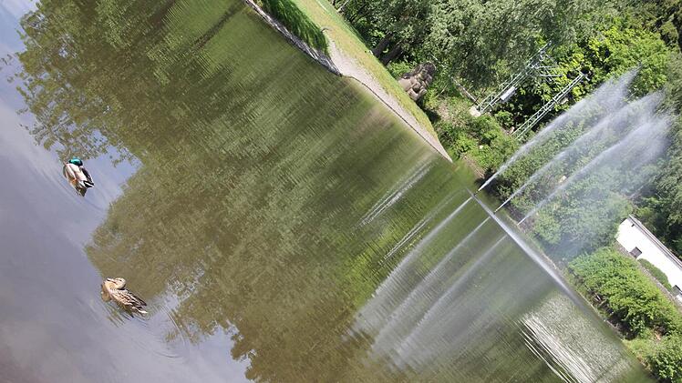 Der LGS-Park lädt zum Spazieren ein.