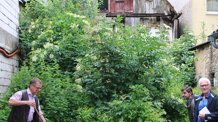 Der Wildwuchs hinterm Haus muss weg. Foto: Heike Beudert