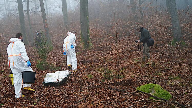 Übung, um für Fälle von Afrikanischer Schweinepest (ASP) gerüstet zu  sein. Foto: Nathalie Bachmann