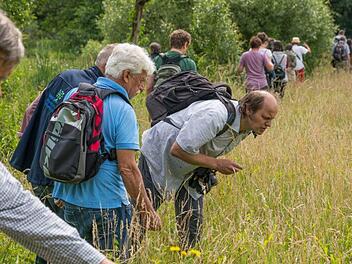 Experten des Landesarbeitskreis Artenschutz des Bund Naturschutz  und der BN-Kreisgruppe besichtigten unter anderem die Biberbeobachtungsplattform, die Beweidungsflächen an der Sinn  und die Sinnauen.Foto: Toni Mader