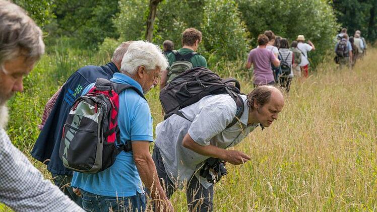 Experten des Landesarbeitskreis Artenschutz des Bund Naturschutz  und der BN-Kreisgruppe besichtigten unter anderem die Biberbeobachtungsplattform, die Beweidungsflächen an der Sinn  und die Sinnauen.Foto: Toni Mader