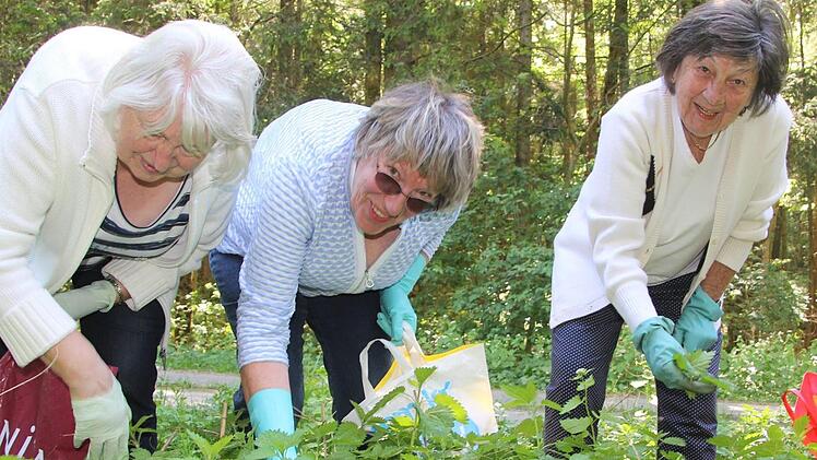 Für Ihren "Küll" tun sie alles - sogar Brennnesseln rupfen. Die Mitglieder des Bamberger   Damen-Stammtischs zieht es jedes Jahr im Frühling an den Fuß der Giechburg. Hier sammeln Gerlinde Trunk, Christel Fabian und Maria Neumann Grünzeug für ihre Spezialität. Diana Fuchs