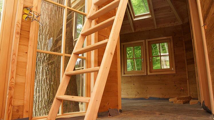 Ein Baumhaus von innen Foto: Arkadius Guzy