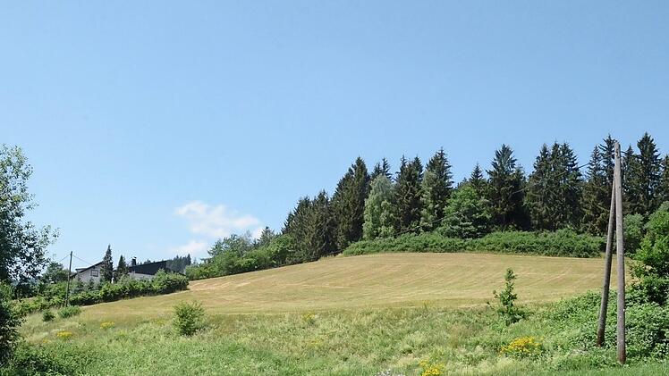 Für das Gebiet "Metzgersberg" zwischen Thüringer Straße und Bergstraße in Pressig wird ein Bebauungsplan in den nächsten Tagen öffentlich ausgelegt. Hier sollen nach Plan der Investoren bald neue Wohnungen entstehen.  Foto: K.- H. Hofmann