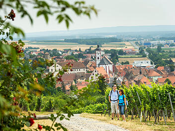 Dettelbach: Mit Wein, Alpakas, Deko und vielem mehr - Stadt er&ouml;ffnet Wandersaison