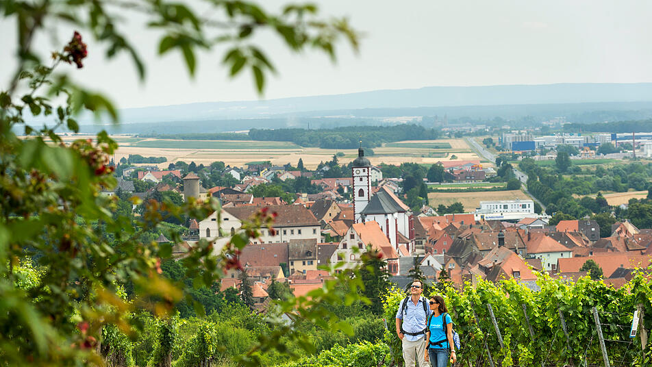 Dettelbach: Stadt eröffnet Wandersaison - Wein, Alpakas, Deko und Co.