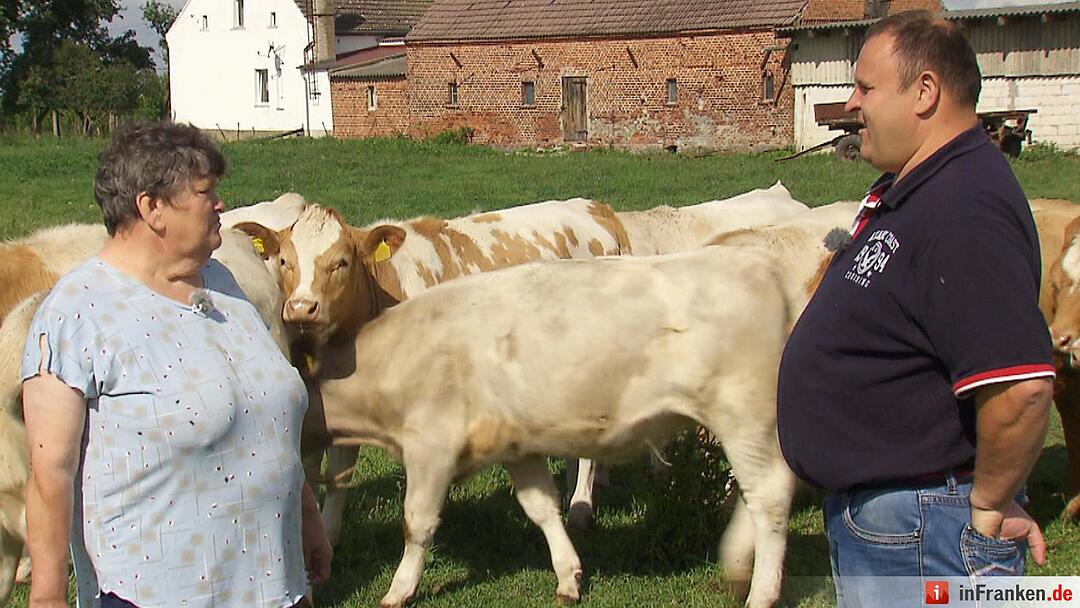 Bauer sucht Frau