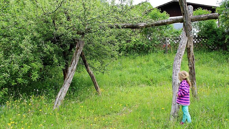 Stillgelegt und überwuchert: Der Spielplatz am Obertor soll in wenigen Wochen mit neuen Spielgeräten bestückt werden. Foto: Julia Raab