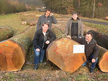 Präsentieren die Braut, den Stamm mit dem höchsten erzielten Preis je Festmeter (von links): Timo Schulz, Ralf Keller, Manfred Herter und Wolfgang Schultheiß. Foto: Rainer Lutz