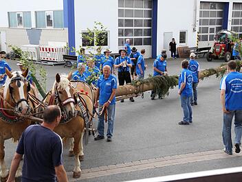 Fotos: Andreas Brandl