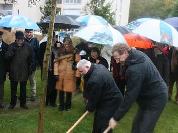 In Sainte Luce wurde 2008 zum 20. Geburtstag eine Esche gepflanzt. Jetzt folgt in Herzogenaurach beim 30. Jubiläum der Städtepartnerschaft der nächste Baum der Freundschaft.  Foto: Marco Piljic