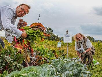 Üppig und gesund: Oliver Kunkel (links) und Thomas Heller ernten auf dem gemeinsamen Gemüsefeld bei Horhausen Mangold und Rotkohl. Foto: Teresa Hirschberg