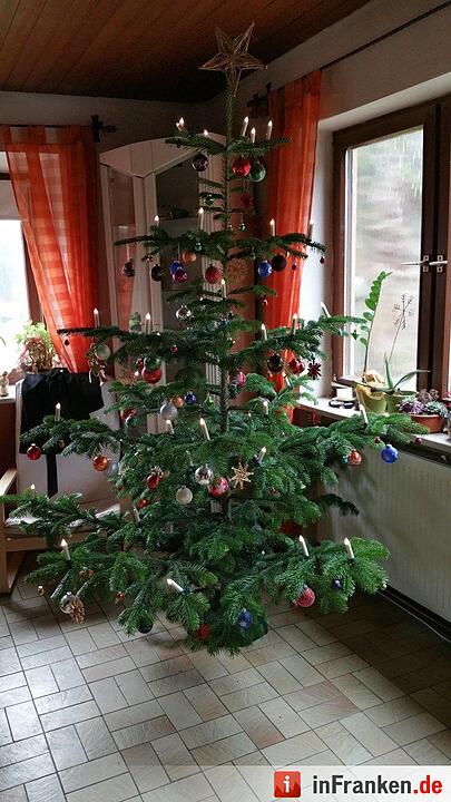 Weihnachten in Franken: Die Christbäume unserer Leser