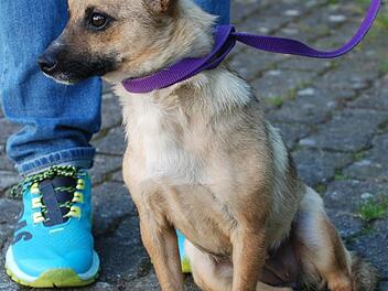 Carisma: Sportlerin mit gro&szlig;en Ohren