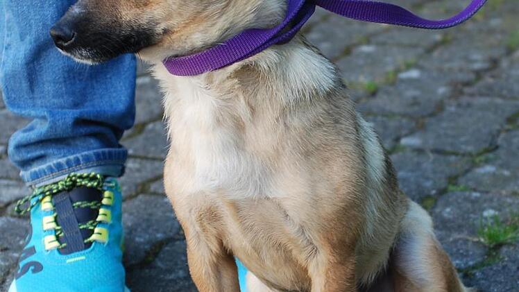 Carisma: Sportlerin mit gro&szlig;en Ohren