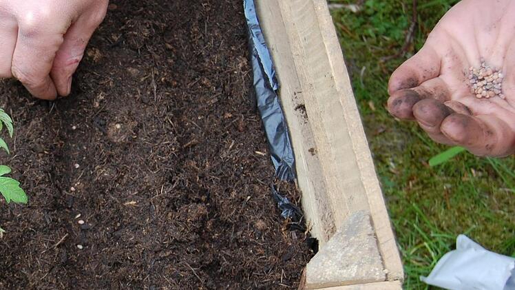 Foto: Archiv/Katharina Heimeier, dpa