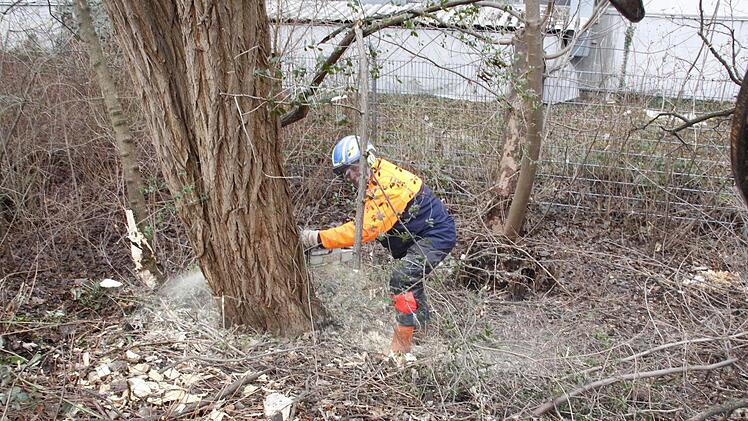 Foto: Josef Hofbauer